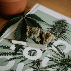 A joint and cannabis buds resting on a book