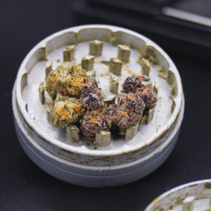 Cannabis flower in a grinder