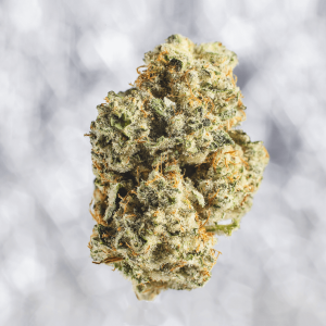 A bright green cannabis nug with orange hairs