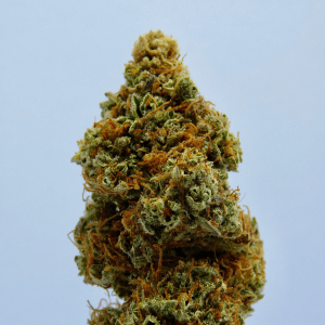 Up close image of a cannabis bud
