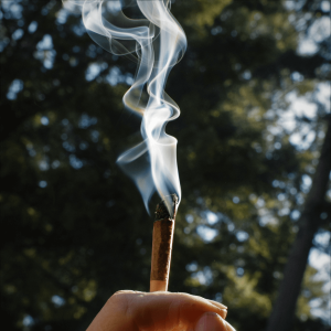 A person holding a joint
