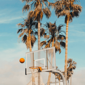 white and gray basketball hoop pictured in front of palm trees