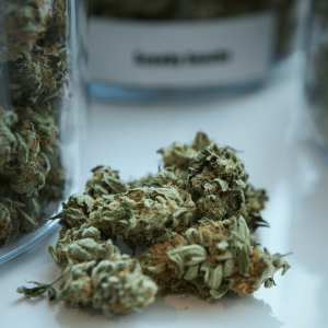 Green kush beside a jar of cannabis