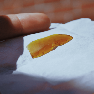 golden cannabis shatter on white parchment paper 