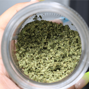 ground cannabis in a jar