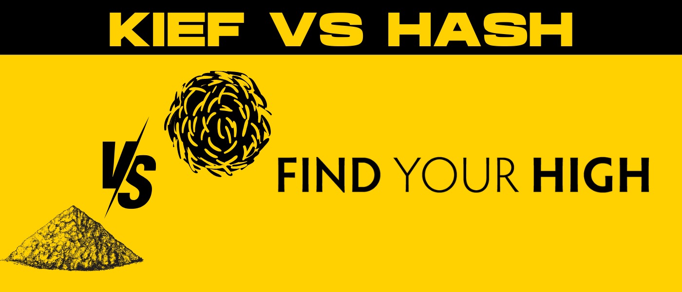 black and yellow image that reads kief vs. hash