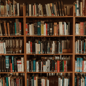 Brown wood shelves holding library books