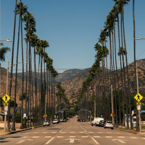 A street lined with palm trees with California hills in the background