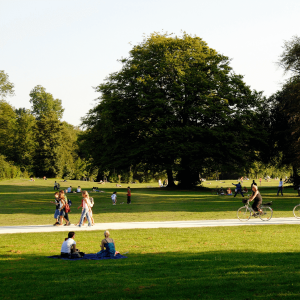 people enjoying a park