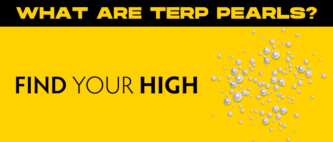 black and yellow image asking 'what are terp pearls?'