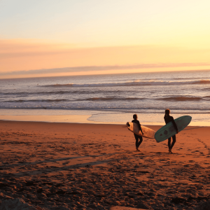 Two surfers at sunset