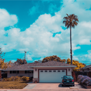 white and gray california house with a palm tree in front yard