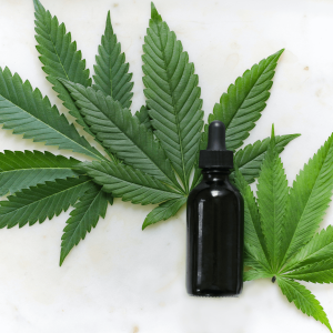 cannabis leaves placed under a tincture bottle