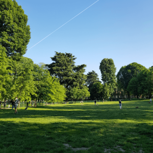 people walking on green grass in a park