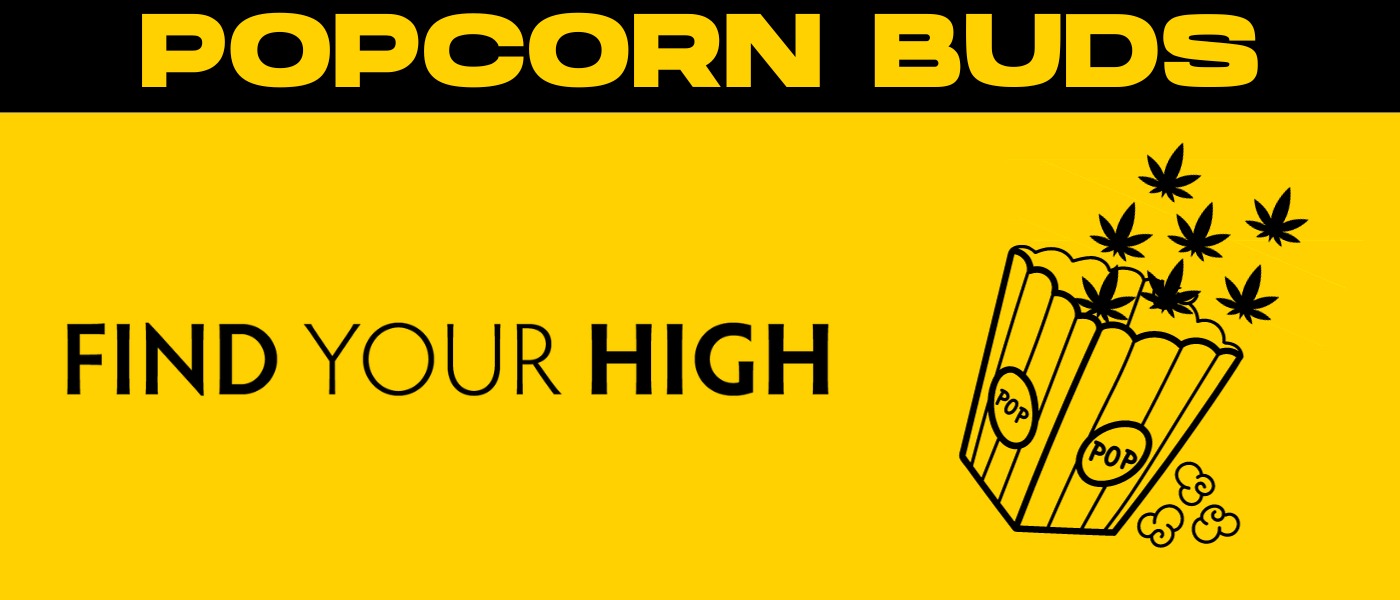 black and yellow banner image that says 'popcorn buds'