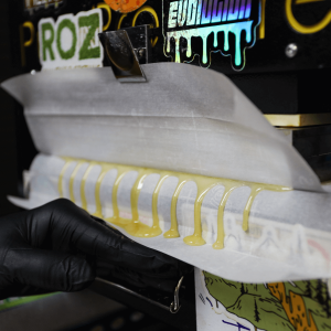 a man operating a rosin press