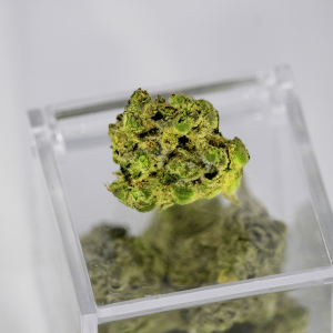 a small green cannabis bud