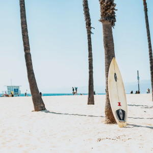 a surfboard propped up against a palm tree on a beach in santa ana california