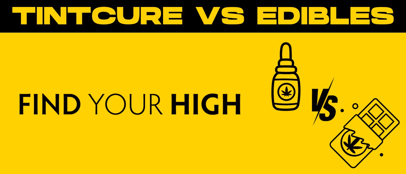 black and yellow banner image that says 'tincture vs. edibles'