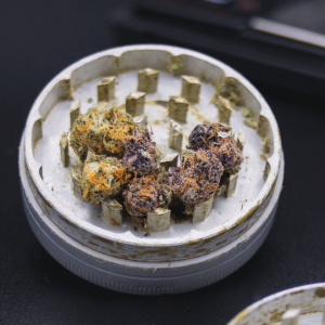 cannabis nugs in a grinder