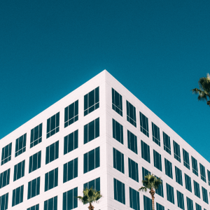 White concrete buildings framed by palm trees