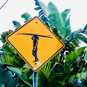 a yellow street sign picturing a surfer with palm tree leaves in the background