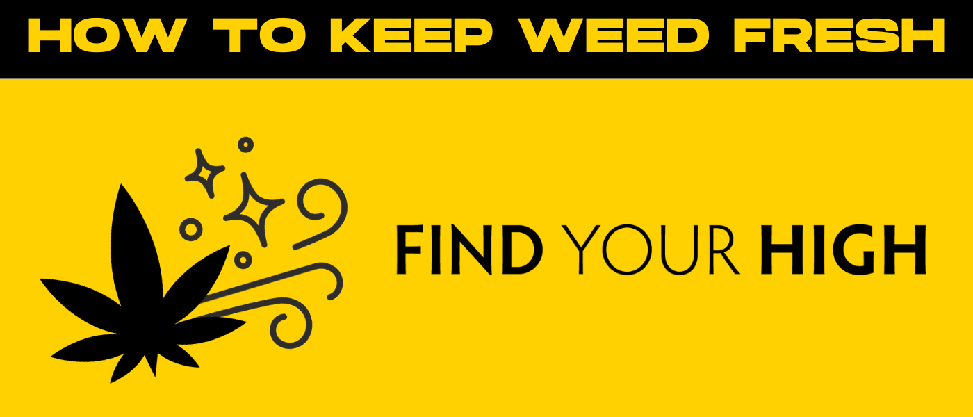black and yellow banner image saying 'how to keep weed fresh'