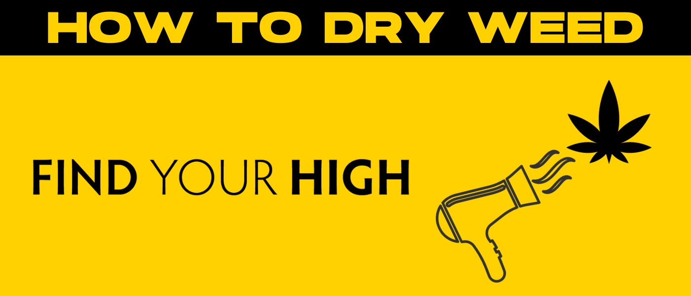 black and yellow banner image saying how to dry weed