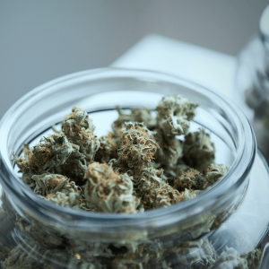 cannabis buds in a glass jar