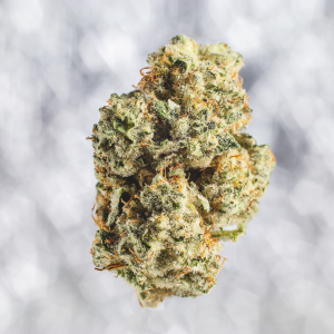 a green and brown cannabis nug against a silver background