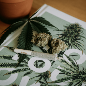 two cannabis nugs pictured next to a joint 