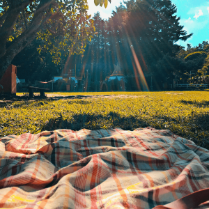 a picnic blanket on a grassy lawn