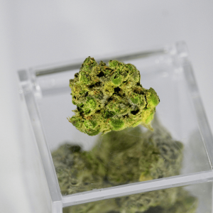 a bright green cannabis nug on a clear plastic container