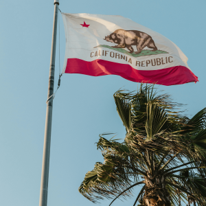 the California flag waving in front of a palm tree
