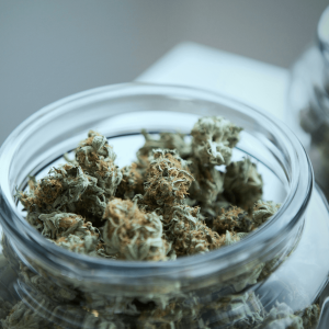 cannabis buds in a glass container