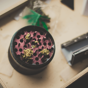 a cannabis grinder with weed in it