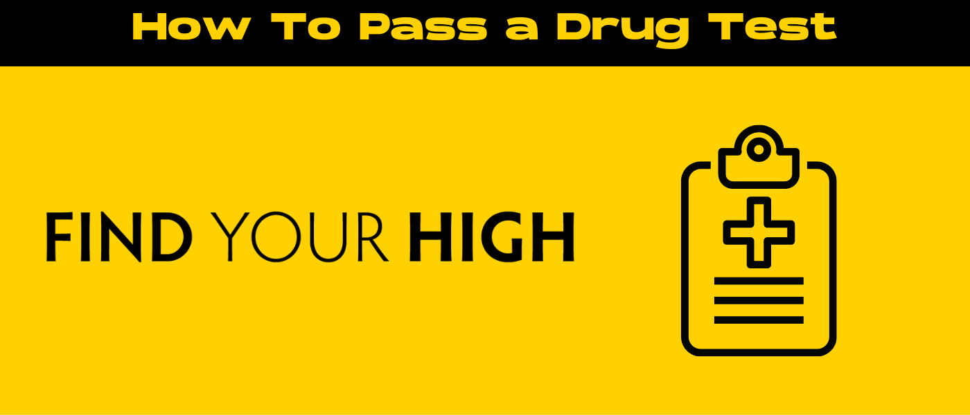 black and yellow banner image for how to pass a drug test for weed