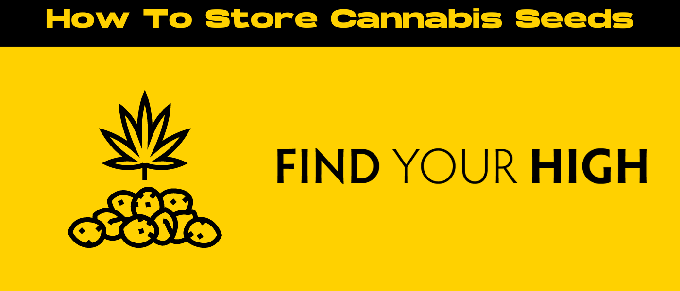 black and yellow banner image for how to store cannabis seeds