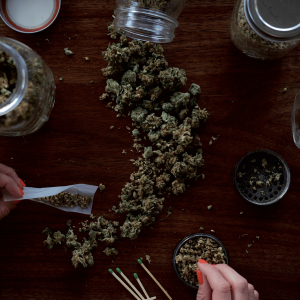 a person placing ground cannabis flower in a joint