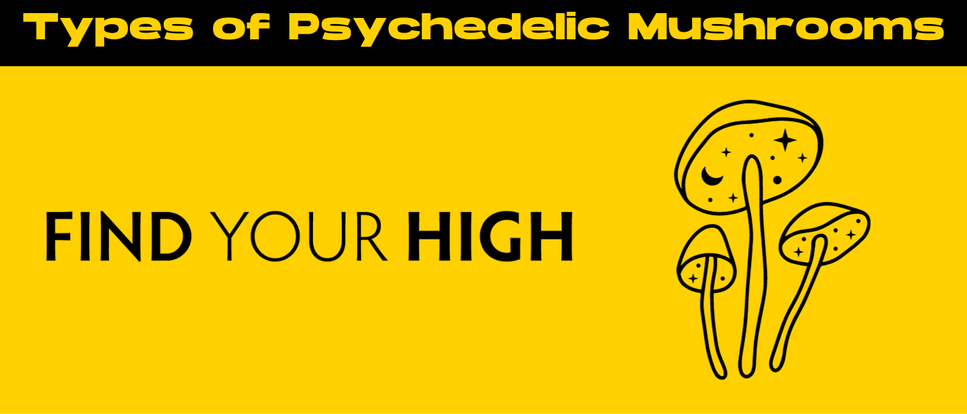 black and yellow banner image for blog about types of psychedelic mushrooms