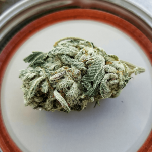 a cannabis bud sitting on a ceramic plate