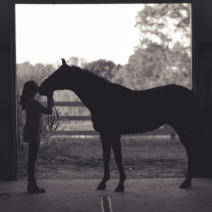 a girl kissing a horse in a stable 