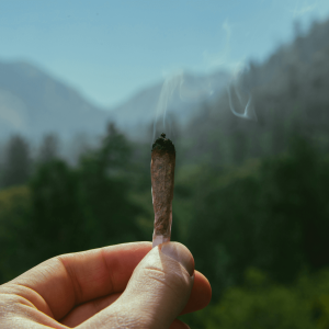 a person holding up a burning joint in front of a mountainscape 