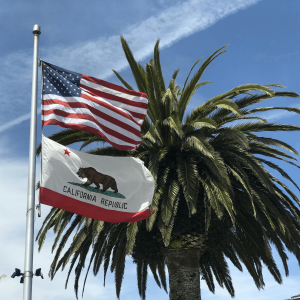 the American and California flag waving in front of a palm tree