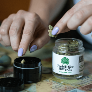 person placing hemp buds in a cannabis grinder