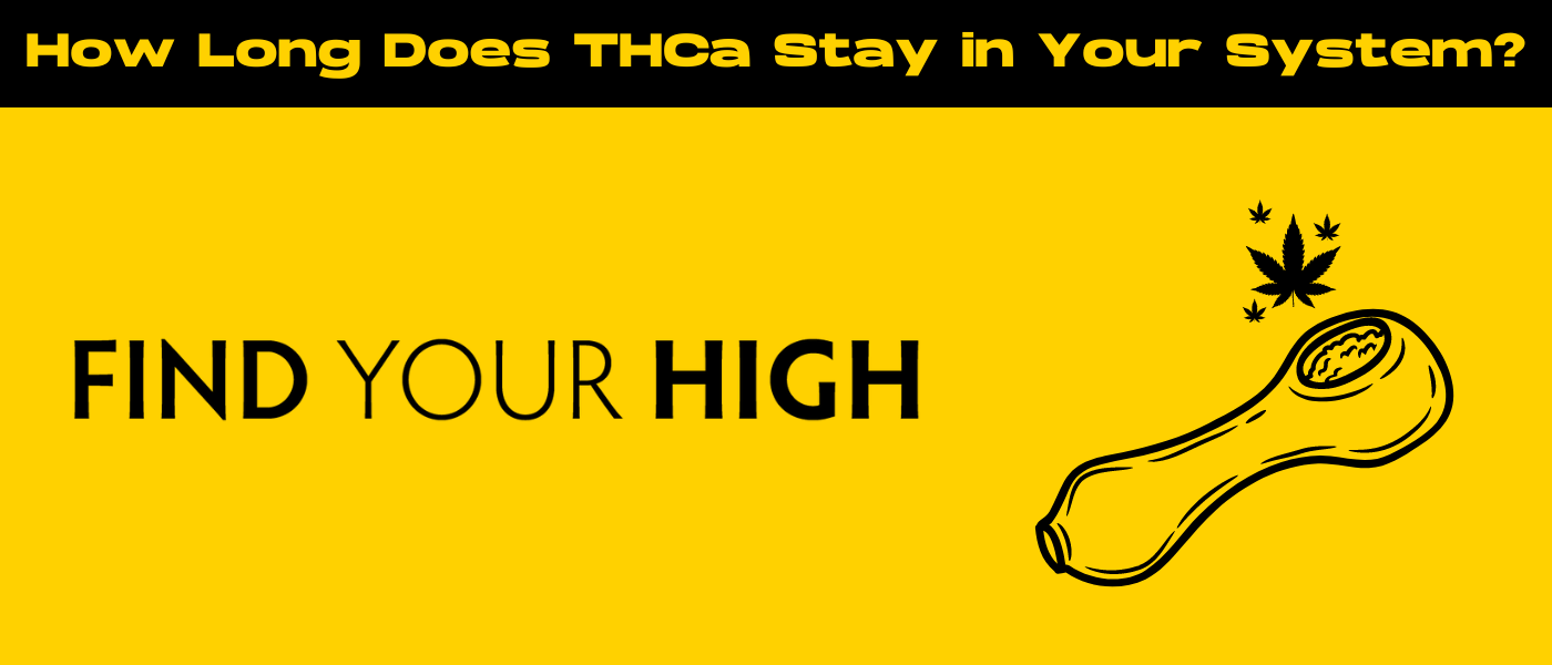black and yellow banner image for how long does thca stay in your system