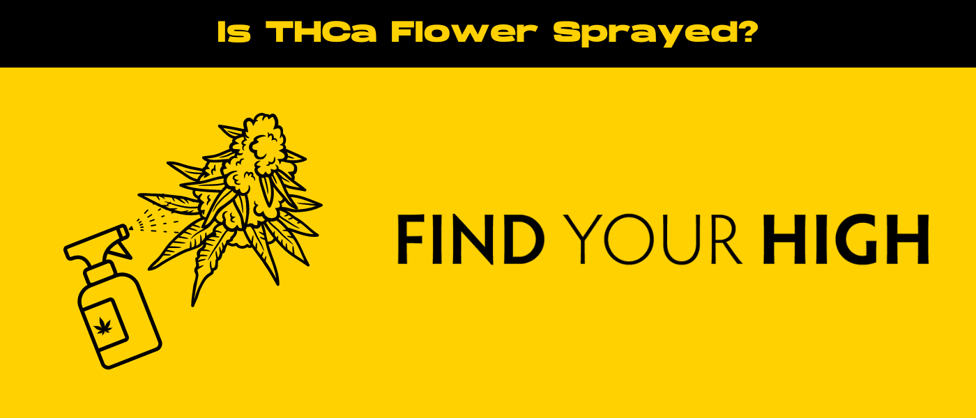 black and yellow banner image for is thca flower sprayed