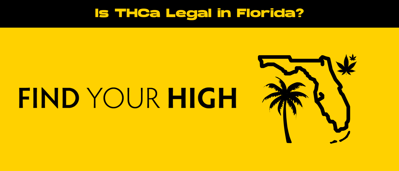 black and yellow banner image for is thca legal in florida blog