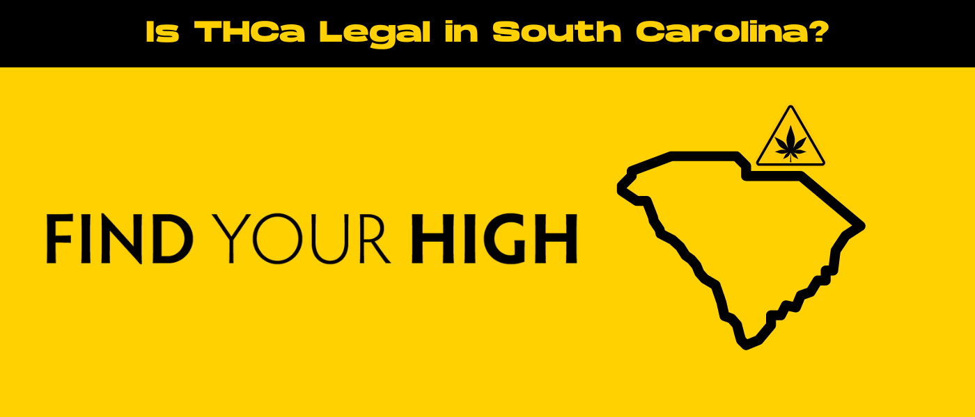 black and yellow banner image for is thca legal in south carolina