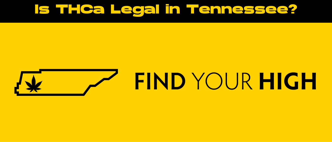 black and yellow banner image for is THCa legal in tennessee